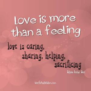 10393660_1054658537894533_180124721352410339_n