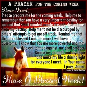 10985936_956679794364758_87293387413579679_n