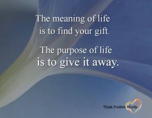 11206049_394004117450179_4038579537178030865_n