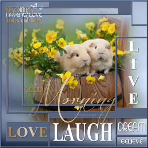 10458098_594262477383840_1696063285704486777_n