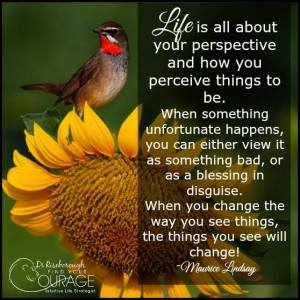 10603571_1071697016203297_585543533743964852_n