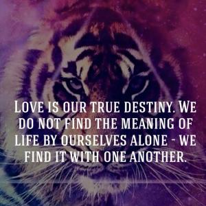 1915455_10153980283050559_8794811346475223851_n